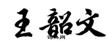 胡問遂王韶文行書個性簽名怎么寫