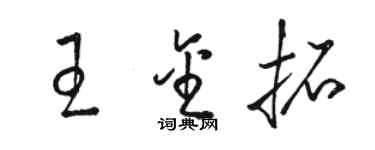 駱恆光王金拓草書個性簽名怎么寫