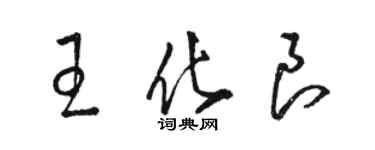 駱恆光王化良草書個性簽名怎么寫