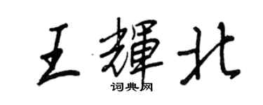 王正良王輝北行書個性簽名怎么寫