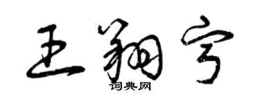 曾慶福王翔寧草書個性簽名怎么寫