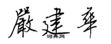 王正良嚴建華行書個性簽名怎么寫