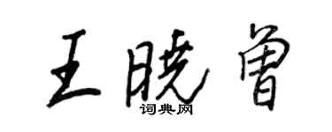 王正良王曉曾行書個性簽名怎么寫