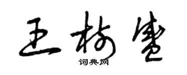曾慶福王樹盛草書個性簽名怎么寫