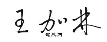 駱恆光王加林草書個性簽名怎么寫