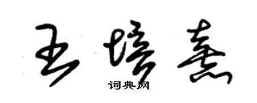 朱錫榮王培熹草書個性簽名怎么寫