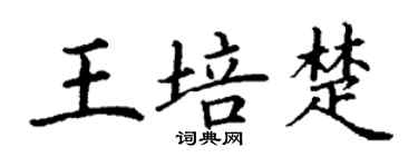 丁謙王培楚楷書個性簽名怎么寫