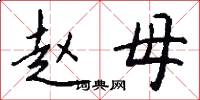 趙母怎么寫好看