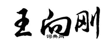胡問遂王向剛行書個性簽名怎么寫