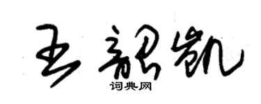 朱錫榮王韶凱草書個性簽名怎么寫