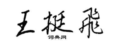 王正良王挺飛行書個性簽名怎么寫