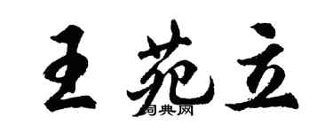 胡問遂王苑立行書個性簽名怎么寫