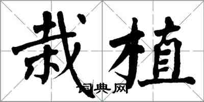 翁闓運栽植楷書怎么寫