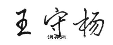 駱恆光王守楊行書個性簽名怎么寫