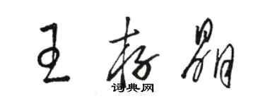 駱恆光王存晶草書個性簽名怎么寫