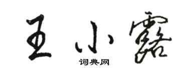 駱恆光王小露行書個性簽名怎么寫