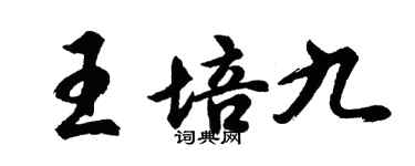 胡問遂王培九行書個性簽名怎么寫