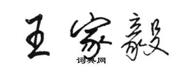 駱恆光王家毅行書個性簽名怎么寫