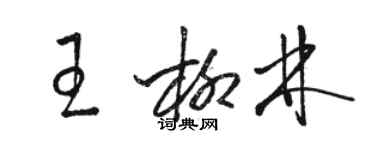 駱恆光王柳林草書個性簽名怎么寫