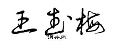 曾慶福王武梅草書個性簽名怎么寫