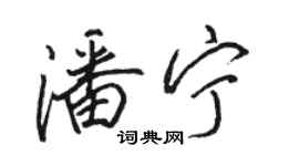 駱恆光潘寧行書個性簽名怎么寫