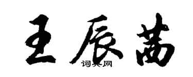 胡問遂王辰茜行書個性簽名怎么寫