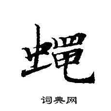 轉輪聖王經寫的蠅