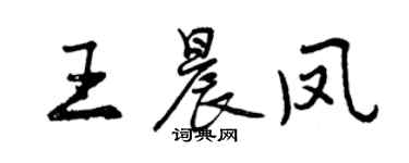 曾慶福王晨鳳行書個性簽名怎么寫