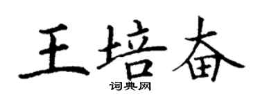 丁謙王培奮楷書個性簽名怎么寫