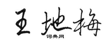駱恆光王地梅行書個性簽名怎么寫