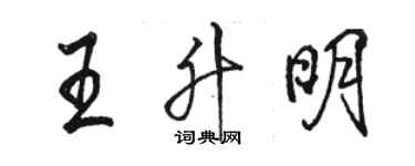 駱恆光王升明行書個性簽名怎么寫