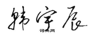 駱恆光韓宇辰草書個性簽名怎么寫