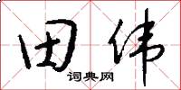 田偉怎么寫好看