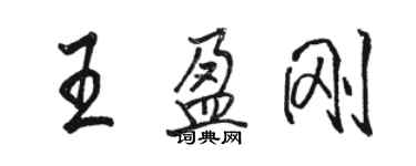 駱恆光王盈剛行書個性簽名怎么寫