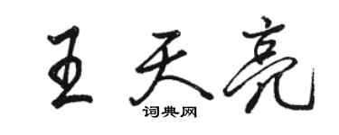 駱恆光王天亮行書個性簽名怎么寫