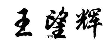 胡問遂王望輝行書個性簽名怎么寫