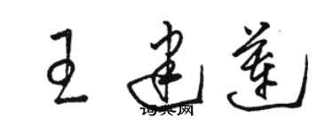 駱恆光王建蓮草書個性簽名怎么寫