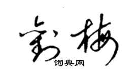 梁錦英劉梅草書個性簽名怎么寫