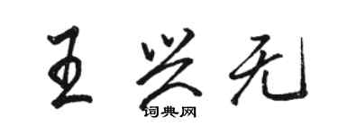 駱恆光王興無行書個性簽名怎么寫