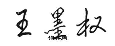 駱恆光王墨權行書個性簽名怎么寫