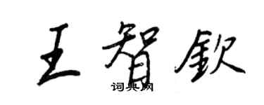 王正良王智欽行書個性簽名怎么寫