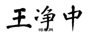 翁闓運王淨中楷書個性簽名怎么寫
