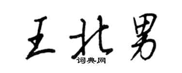 王正良王北男行書個性簽名怎么寫