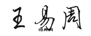 駱恆光王易周行書個性簽名怎么寫