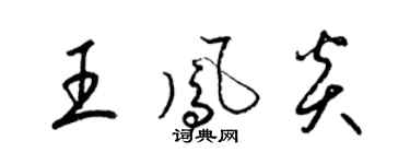 梁錦英王鳳炎草書個性簽名怎么寫