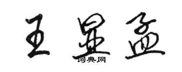 駱恆光王顯孟行書個性簽名怎么寫