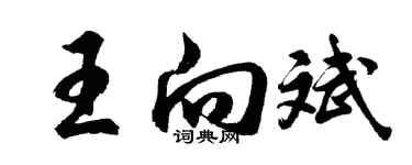 胡問遂王向斌行書個性簽名怎么寫