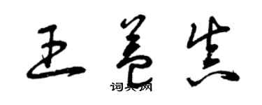 曾慶福王益真草書個性簽名怎么寫