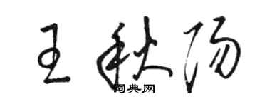 駱恆光王秋陽草書個性簽名怎么寫