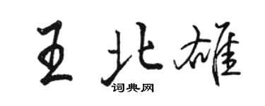 駱恆光王北雄行書個性簽名怎么寫